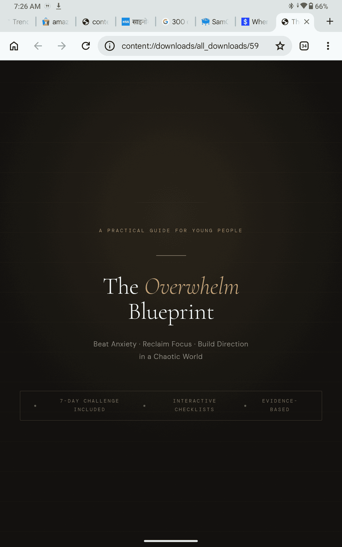 The overwhelm Blueprint ~ one and only Book π you need